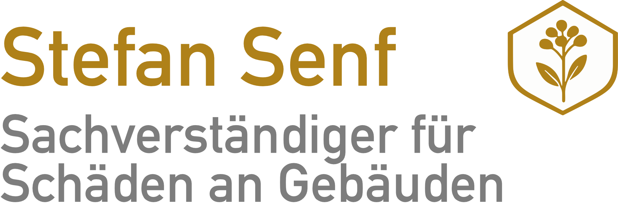 Stefan Senf - Sachverständiger für Schäden an Gebäuden